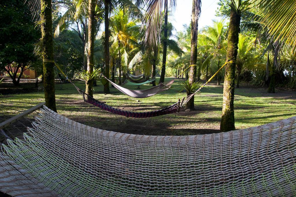 Turtle Beach Lodge Tortuguero Exterior foto