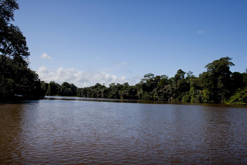 Turtle Beach Lodge Tortuguero Exterior foto