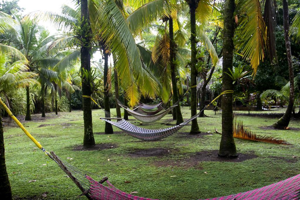 Turtle Beach Lodge Tortuguero Exterior foto
